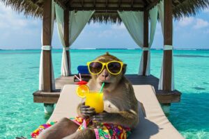 Mono relajado en una tumbona con gafas de sol amarillas y cóctel tropical frente al mar turquesa.