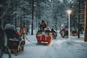 Paseo en trineo tirado por renos a través de un bosque nevado en Laponia.