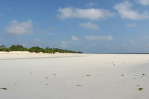 Playa de arena blanca y cielo despejado en Zanzíbar, Tanzania.
